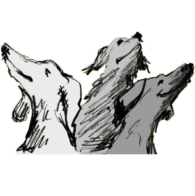 a jeda dog a andra dog